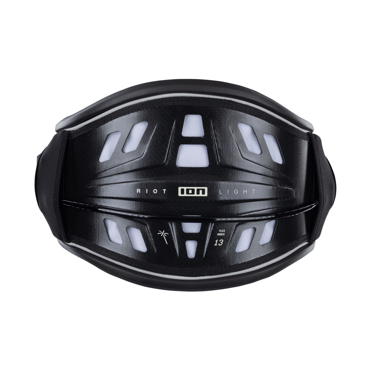 ION Riot Light 4