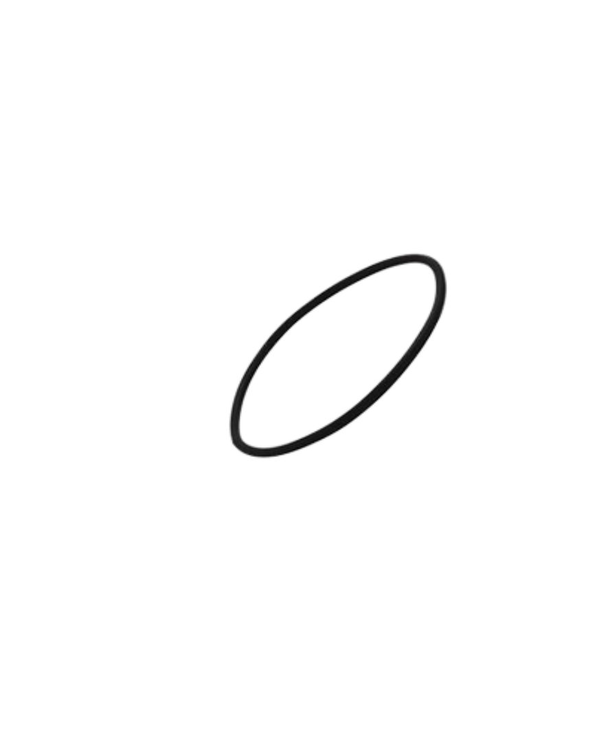 Unifiber O-Ring 2 x 38 mm Per Collare Regolazione Prolunga RDM HD Windsurf